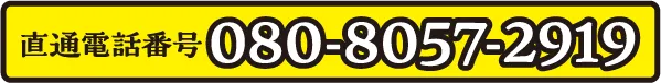 直通電話番号08080572919
